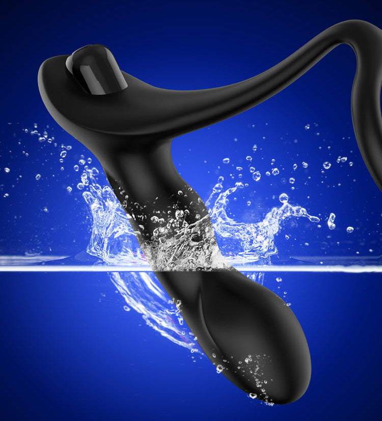 Pro Raptor Massager Raptor Prostate Massager 002 – LETEN